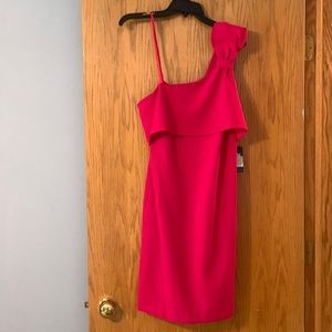 Adrianna Papell pink dress (size 8)